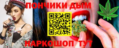гашик Камышлов
