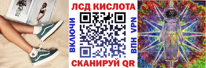 где продают Лесной Марки N-bome 1,8мг