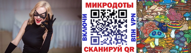 kraken как войти  Лесной  Псилоцибиновые грибы ЛСД  закладки 