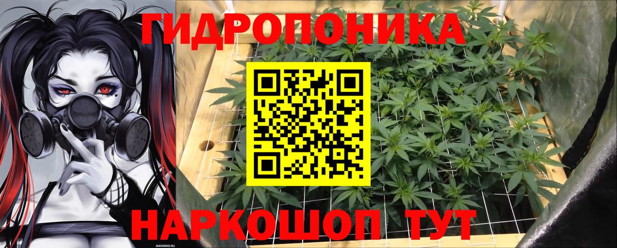 Канабис тримм  Шишки марихуана MAZAR  Бошки Шишки сатива  Шишки марихуана конопля  Лесной 